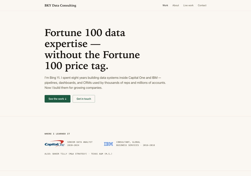 BKY Data Consulting website